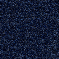 Coral Bright_2607 deep water